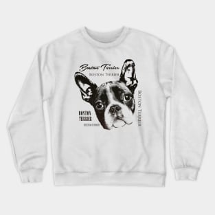 Boston Terrier dog Crewneck Sweatshirt